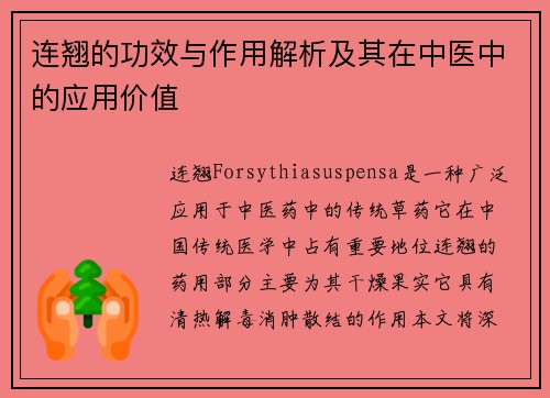 连翘的功效与作用解析及其在中医中的应用价值